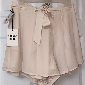 Pleated Aritzia shorts